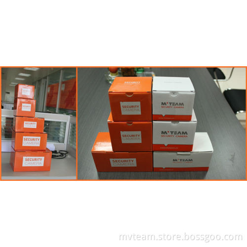 P2p 1080P Waterproof IP Camera with Poe Optional